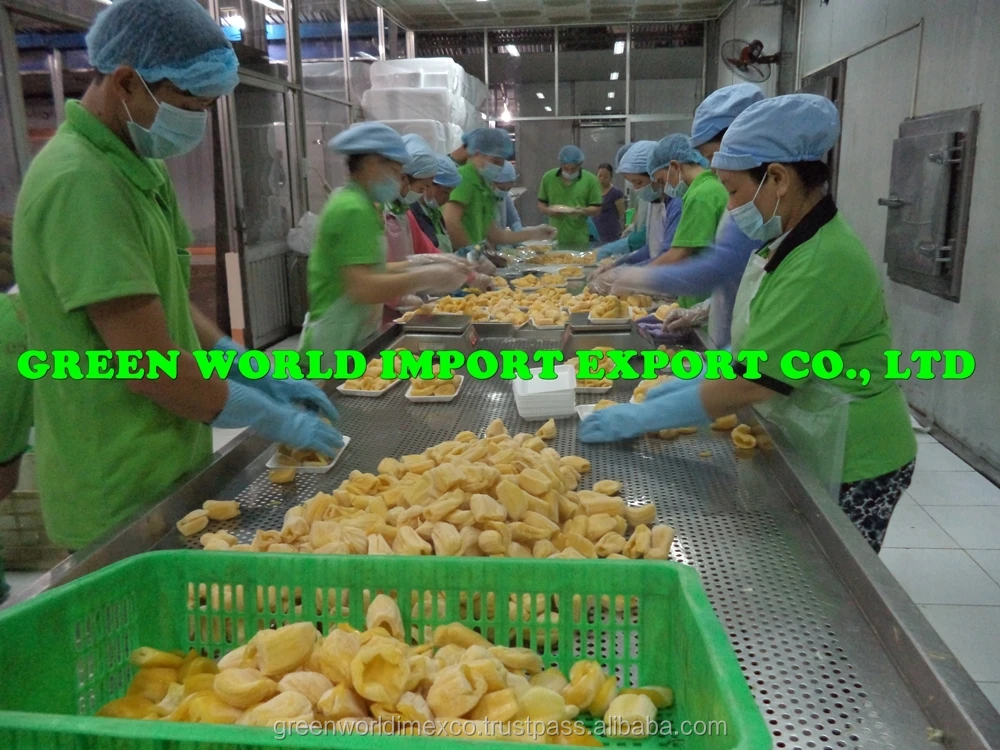Top Export Product Frozen Jack Fruit High