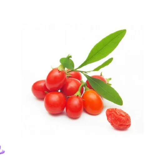 natural gojiberry extract