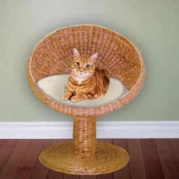 Кошка с гиацинтами. Домик ракушка для кошки. Кошка с гиацинтами. Кошачий домик из ротанга. Кот гиацинт.