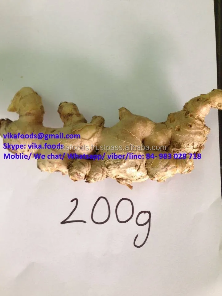 Fresh Ginger For The Best Price Buy Fresh Ginger,Dried Ginger,Bulk