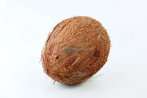 importers coconut husk
