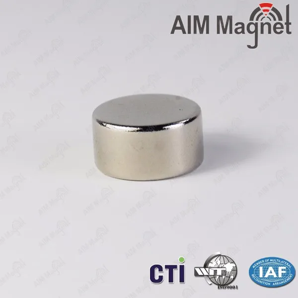 Round Neodymium Magnet (99)
