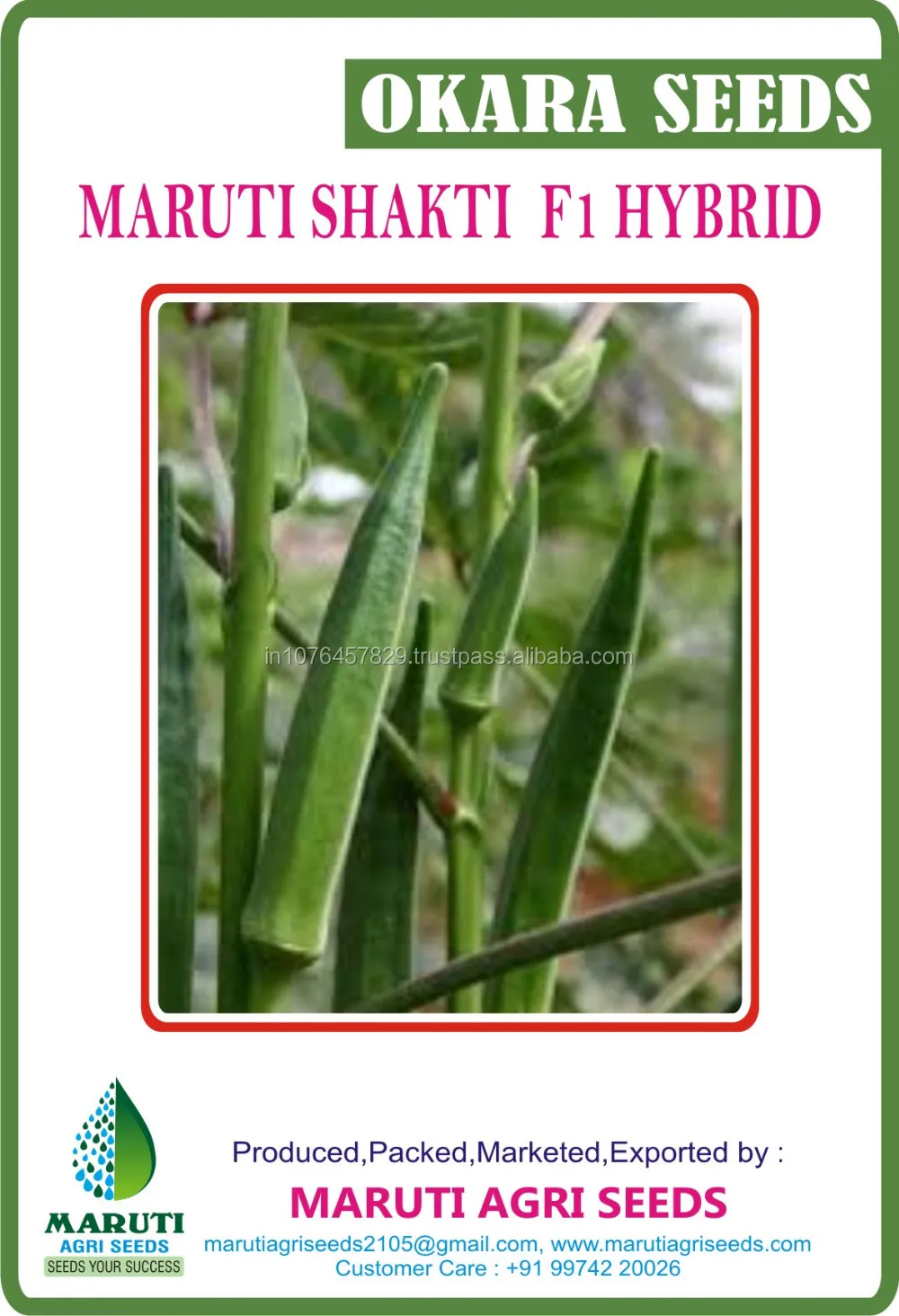 Indian Okra Seeds Maruti Kajal F1 Hybrid Varieties For Kenya Buy Okra