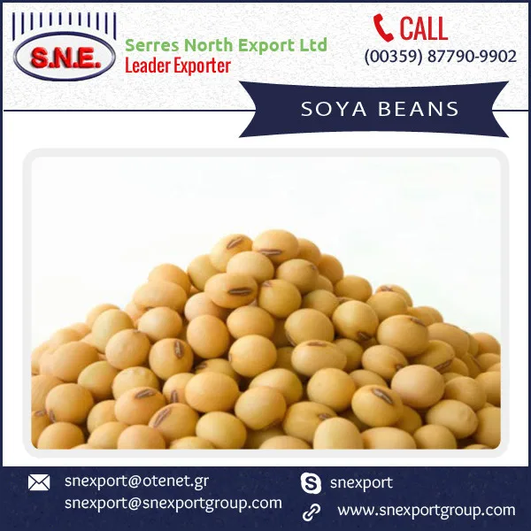 Premium Quality Export Grade Fresh Soybeans Available At Popular Rate