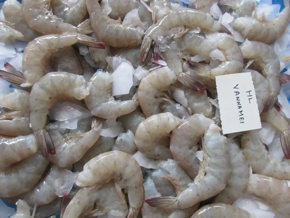 VANNAMEI SHRIMPS HEAD ON SHELL ON FARM FRESH, View Vannamei, COASTAL ...