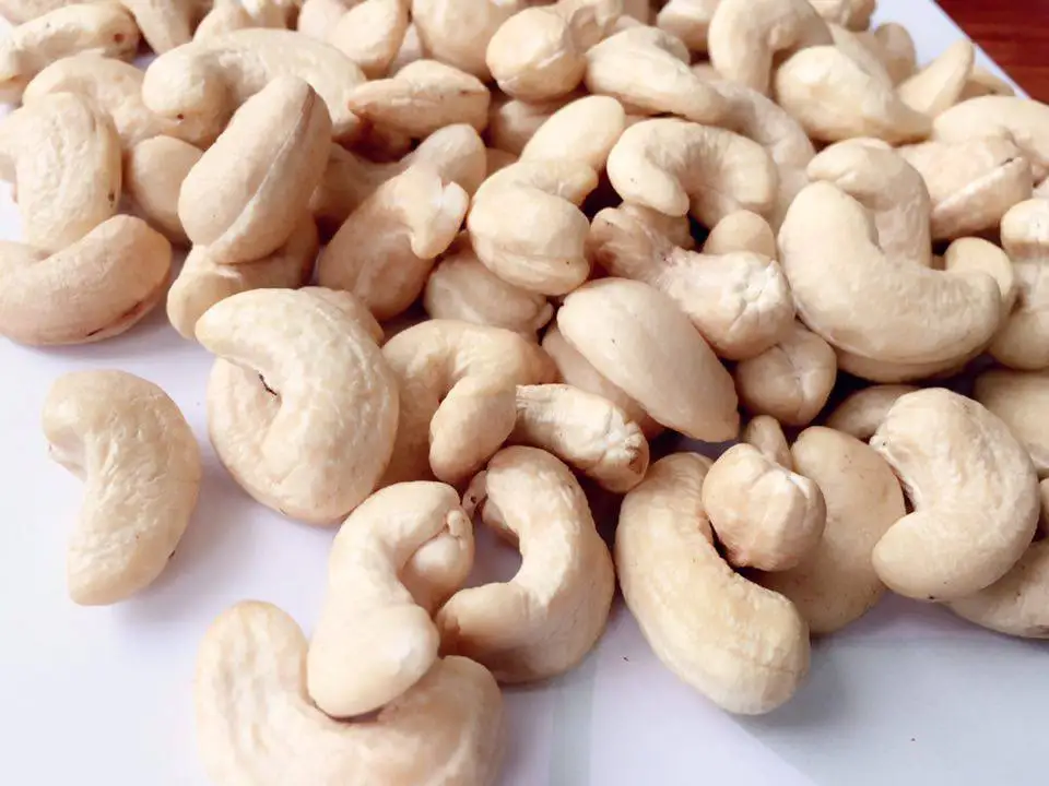 raw cashew nut fob price per metric ton