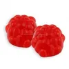 Private Label Gummies ( 30 / Bottle ) RASPBERRY KETONE Weight Loss Pills