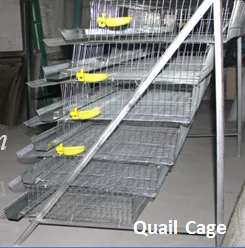 Nigeria's largest market agricultural equipment chicken cage for poultry farm (Guangzhou Factory)