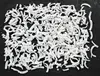DESICCATED COCONUT THREAD LENGTH 10-20mm (bakery decoration, ice cream, yogurt topping)