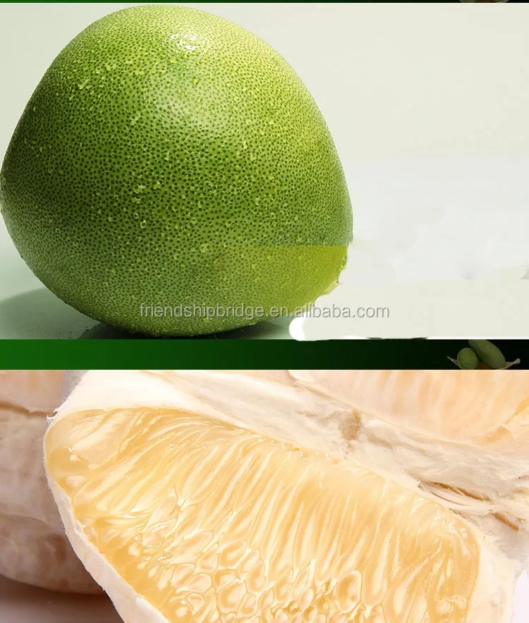 Delicious Fruit Pomelo Buy Citrus Maxima Fruit Seedling,High Quality