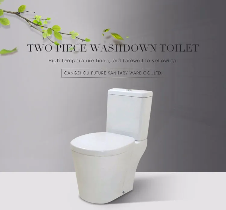 Good Quality Sanitary Ware Two Piece Washdown Bathroom Toilets Buy