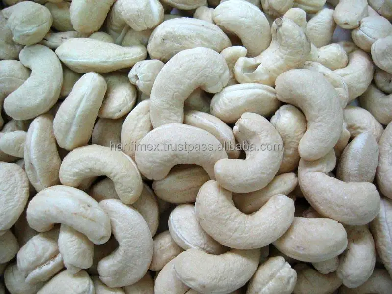 Vietnam Cashew Nut Best Distributor 