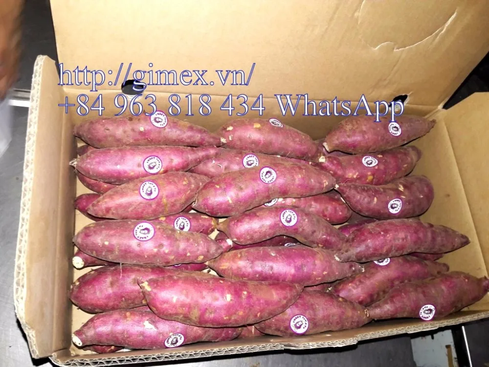 Kentang Kuning Jepang - Buy Vietnam Manis Kentang,Segar Ubi Ungu