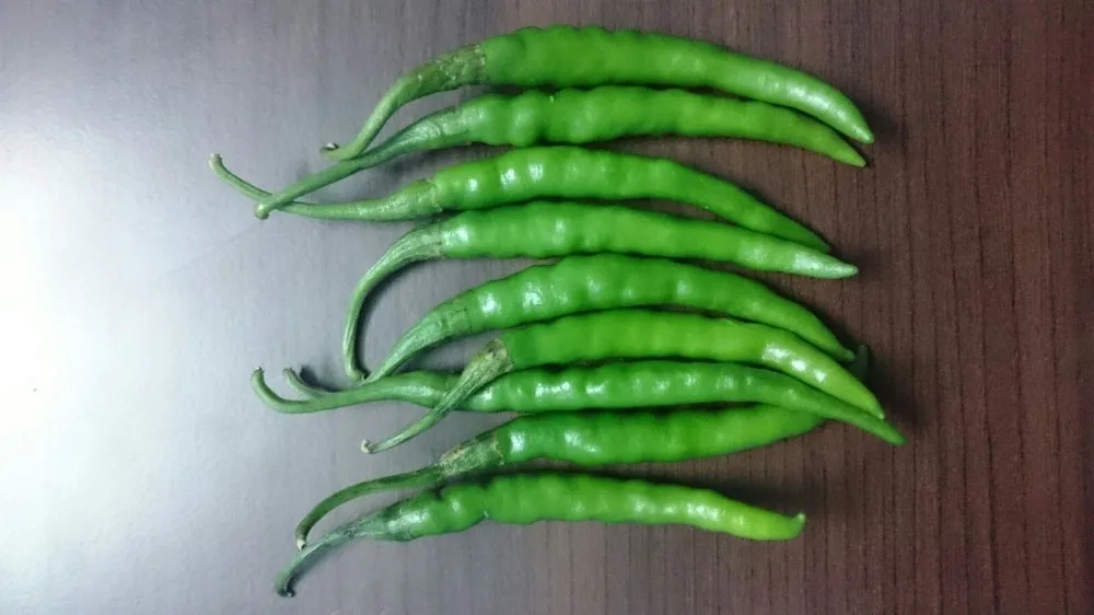 vegetables in India