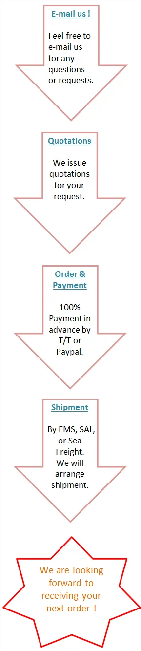 our service.png