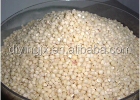 Peeling Machine/Einkorn Peeling Machine/Millet Einkorn Peeling Machine/Einckorn Husk Removing Machine