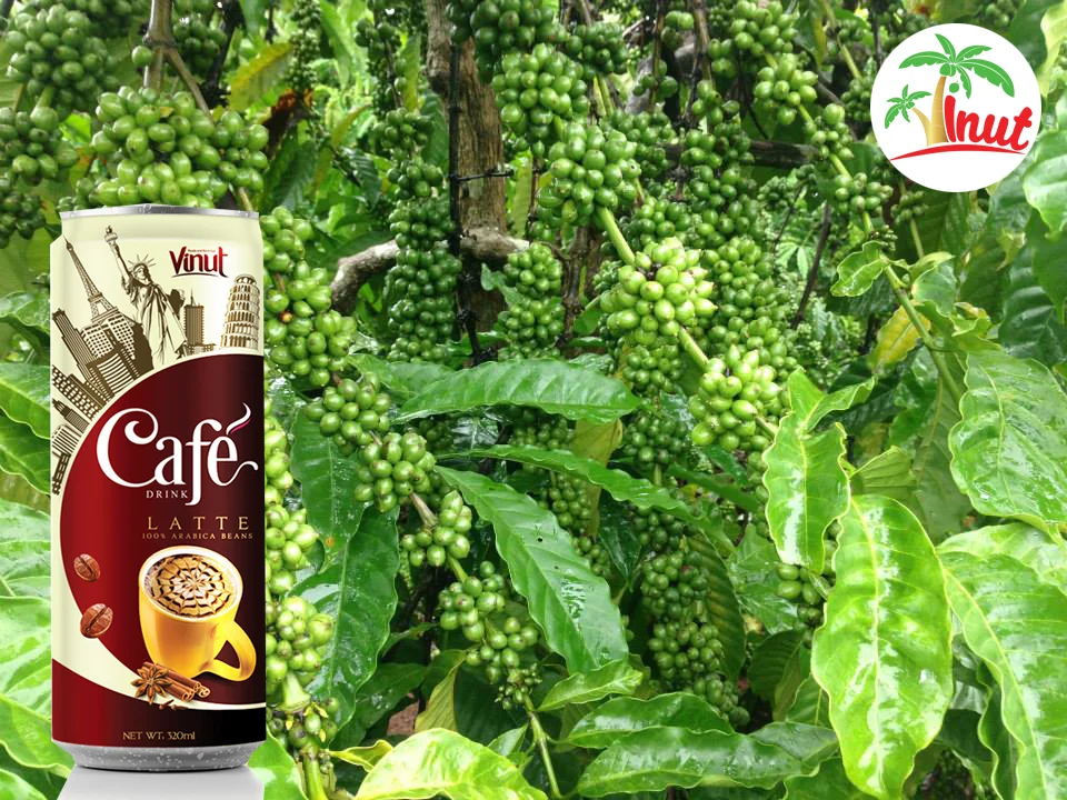 320ml Latte Canned Coffee Drink In Can From Vietnam Buy Canned Coffee Drink,Instant Coffee