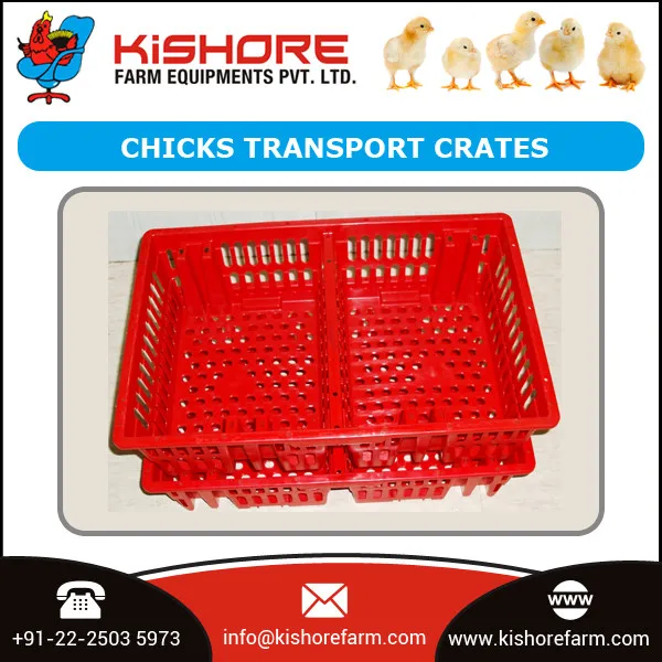 Chicks Transport Crates / Poultry Crates Price Buy Poultry Crates Supplier,Poultry Crates For