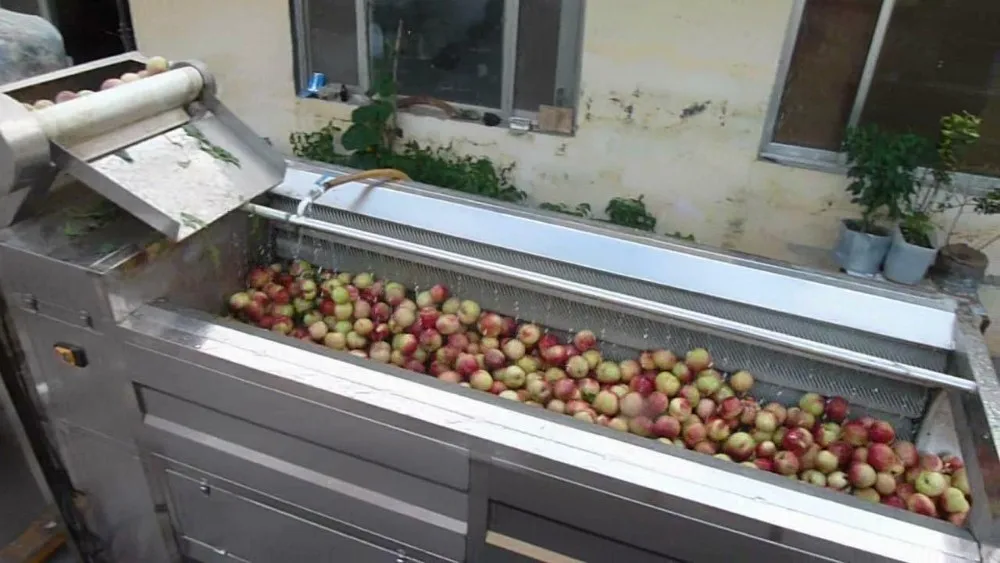 ozone generator for cleaning vegetables