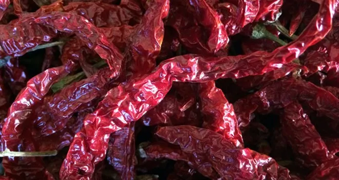 Hot sale high quality indian red chilli/chilly powder