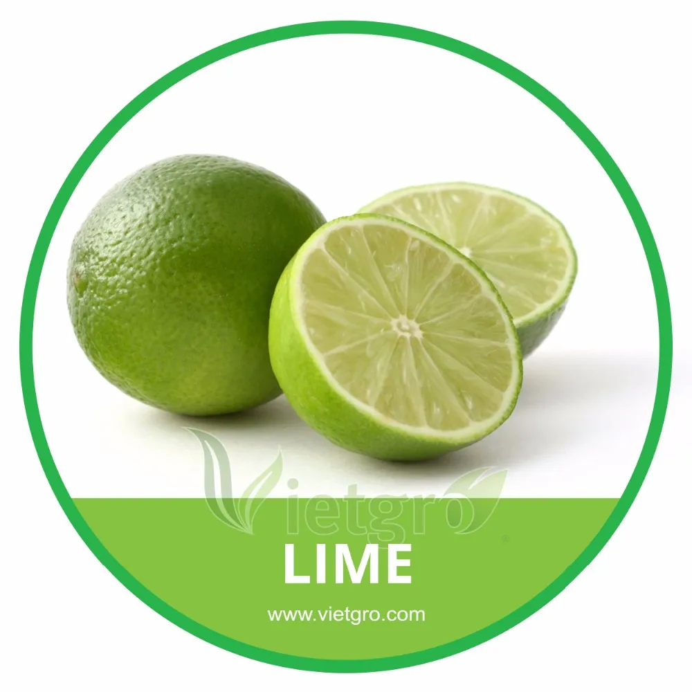 high quality fresh green lime // fresh seedless lime