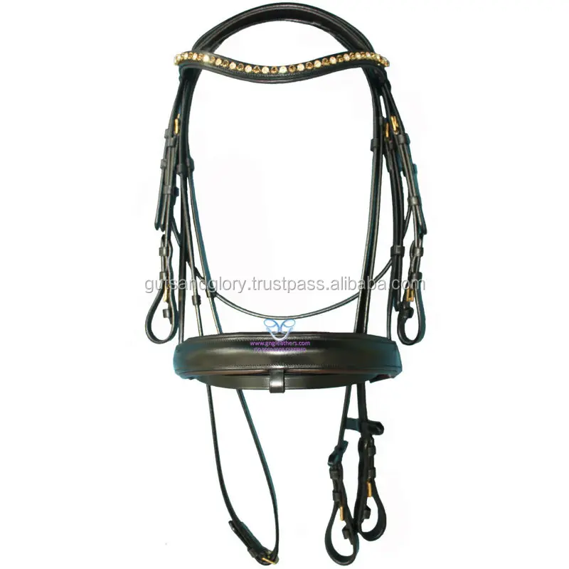 Cookies Bridle...jpg