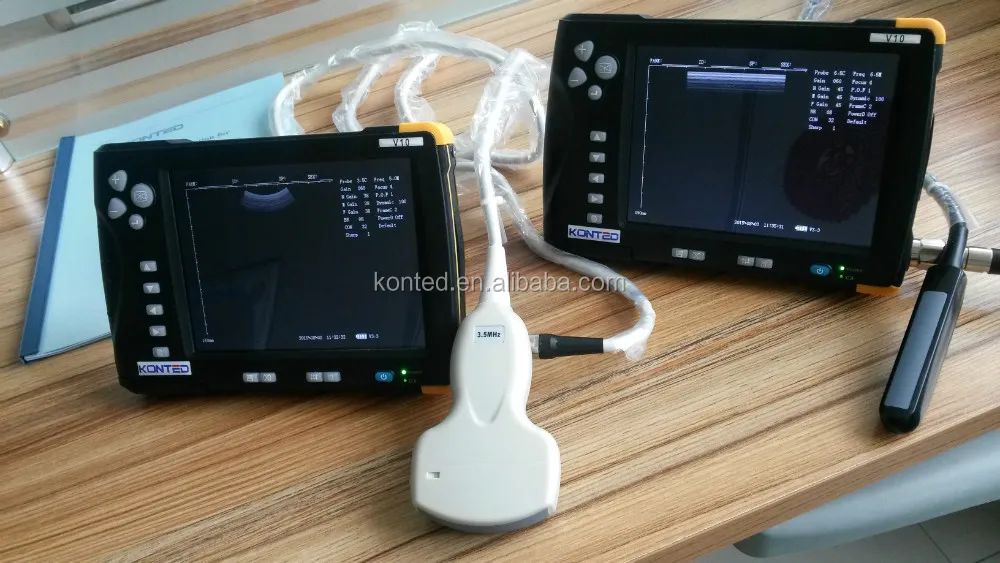 Köpek Domuz Koyun Inek At Gebelik Testi Ultrason Rektal Prob Ile Buy