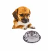 Ski Group Of Stainless Steel Pure Silver Dog Pets Bowl With Stylish Look