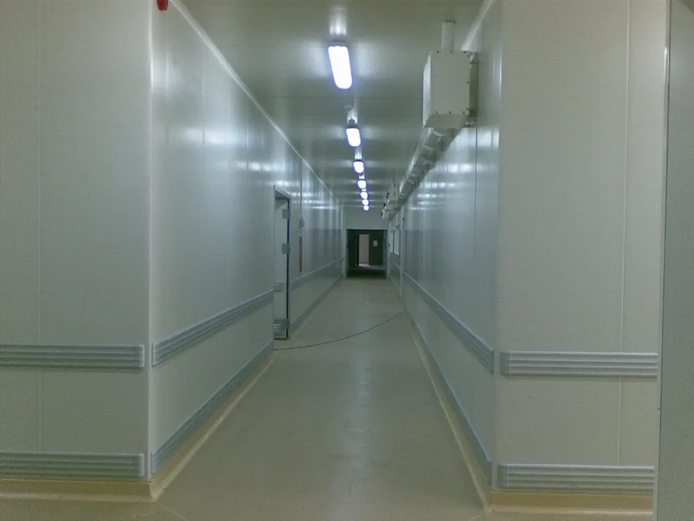 Pvc Coving/ Floor Bumper/ Wall Protection Profiles + 97156 54781016