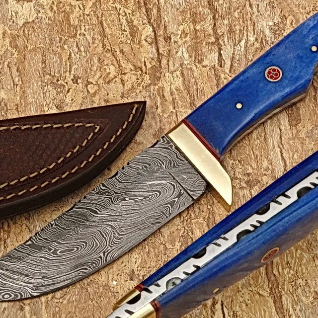 pakistan camel tools