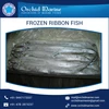 Best Dry Frozen Ribbon Fish Price