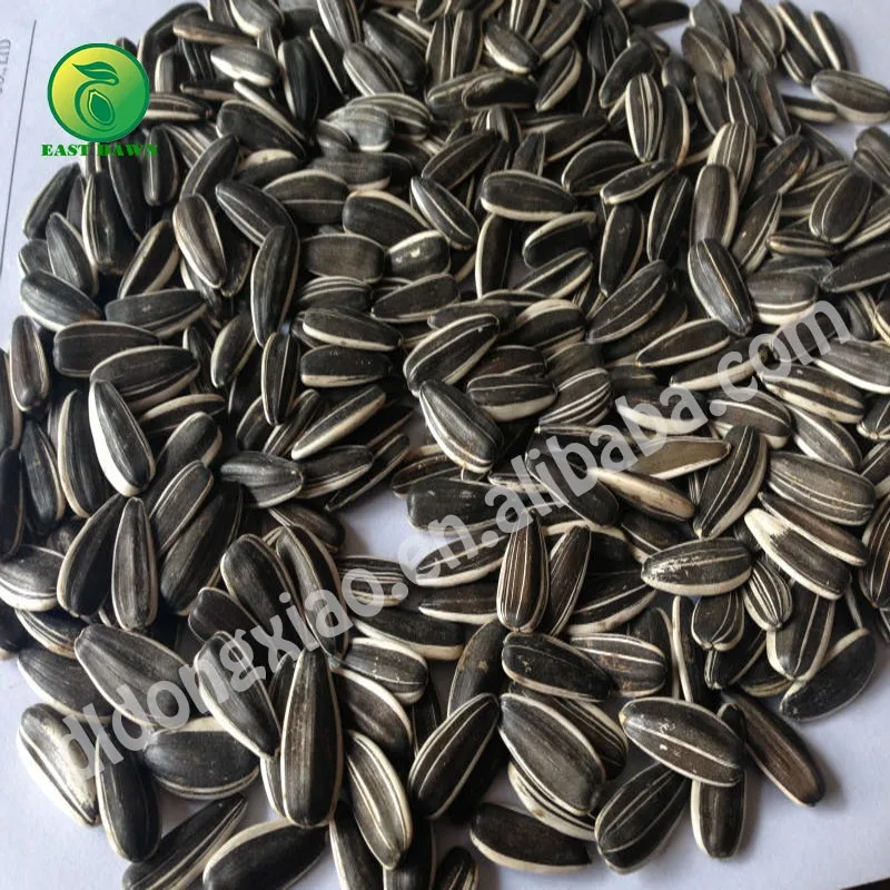 Sunflower-seeds (3)