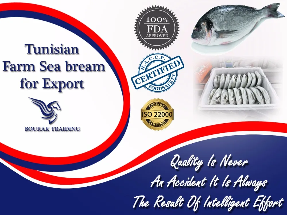 mediterranean, fresh, farmed sea bream 400-600g