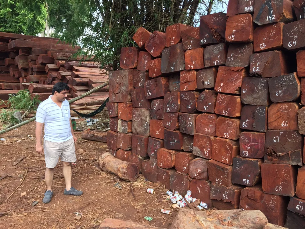 Hotsale High Quality Pyinkado Wood Log And Timber At Best Price From