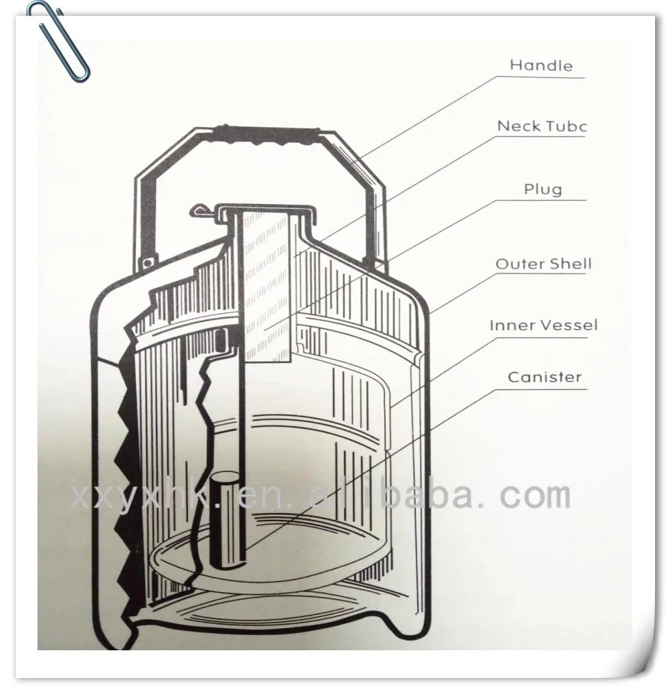 Nitrogen Gas Properties Liquid Nitrogen Dewars Wart For Beauty Use Cryo