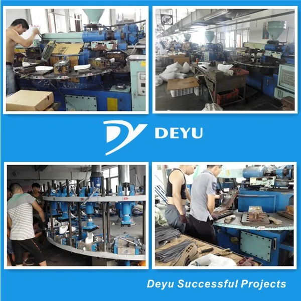 deyu successful project1