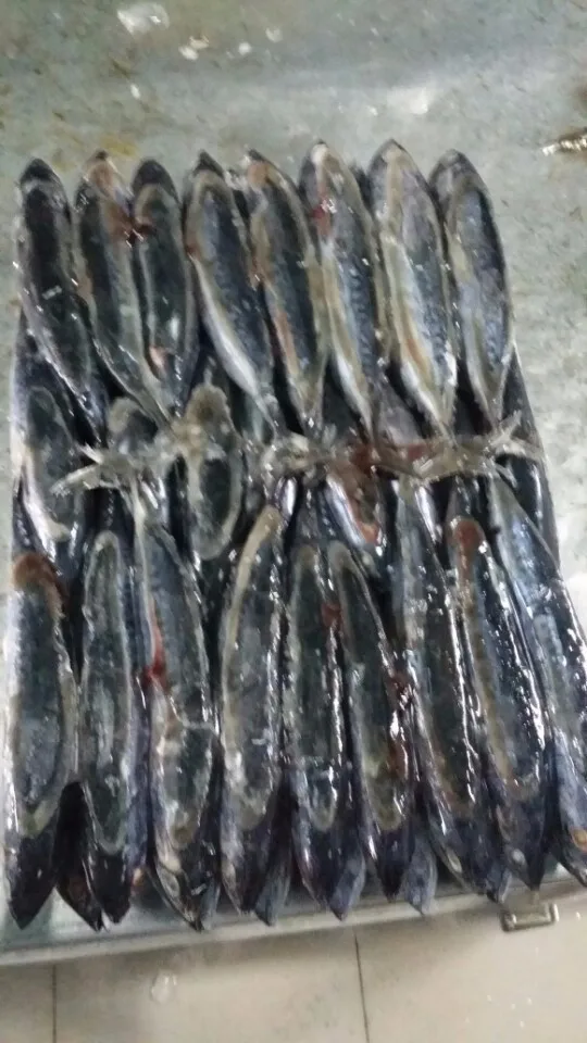 Canned Tuna Bullet Tuna Buy Bulk Canned Tuna,Canned Tuna Sale,Bullet