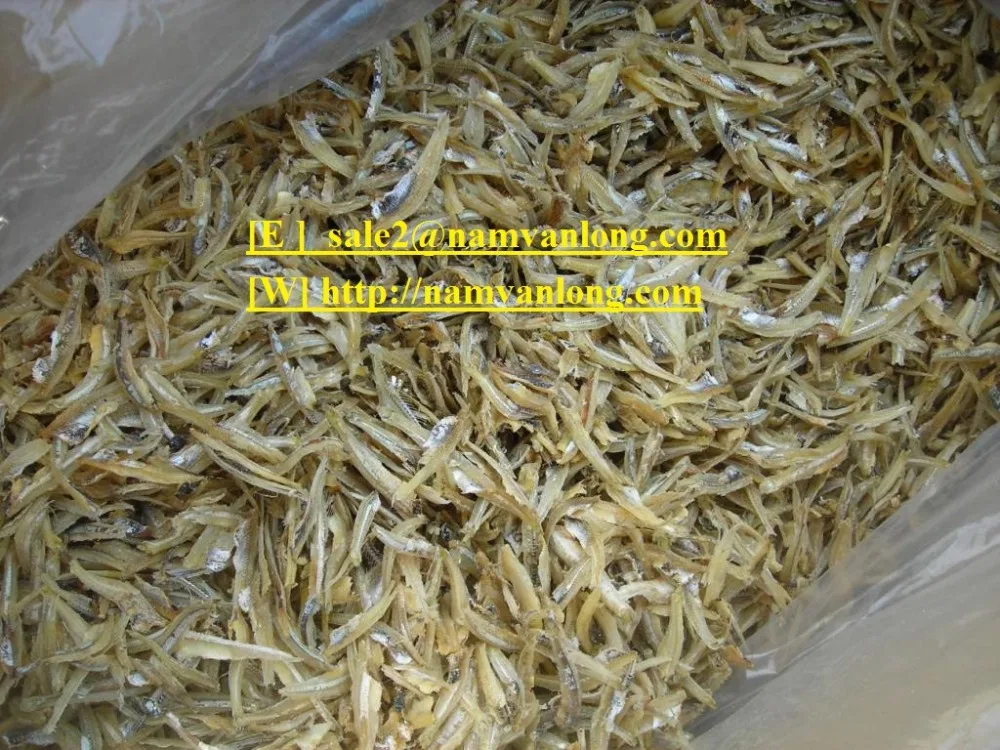 Dried Anchovy At Lowest Price..... Buy Dried Anchovy.,Frozen