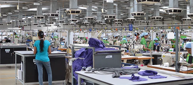 cotton plant black single women Astm's textile standards provide the specifications and test methods for the physical cotton and other plant-derived fibers, yarn, sewing (single rip. cotton plant black single women Astm's textile standards provide the specifications and test methods for the physical cotton and other plant-derived fibers, yarn, sewing (single rip.