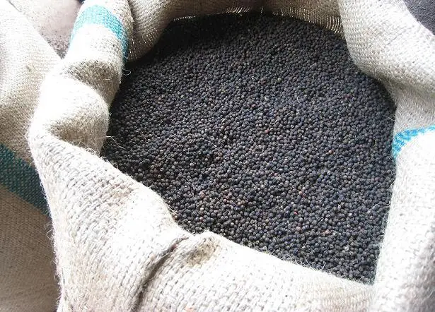 Vietnam White Pepper Wholesale