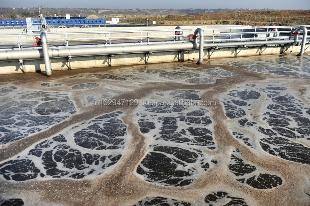 Bacteria For Removing Fat,Oil And Grease From Sewage Treatment Plant