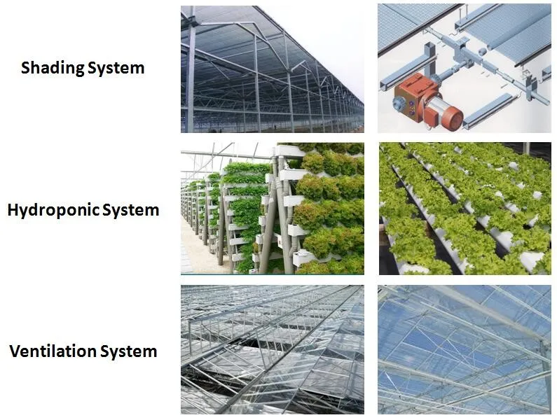 optional system for greenhouse