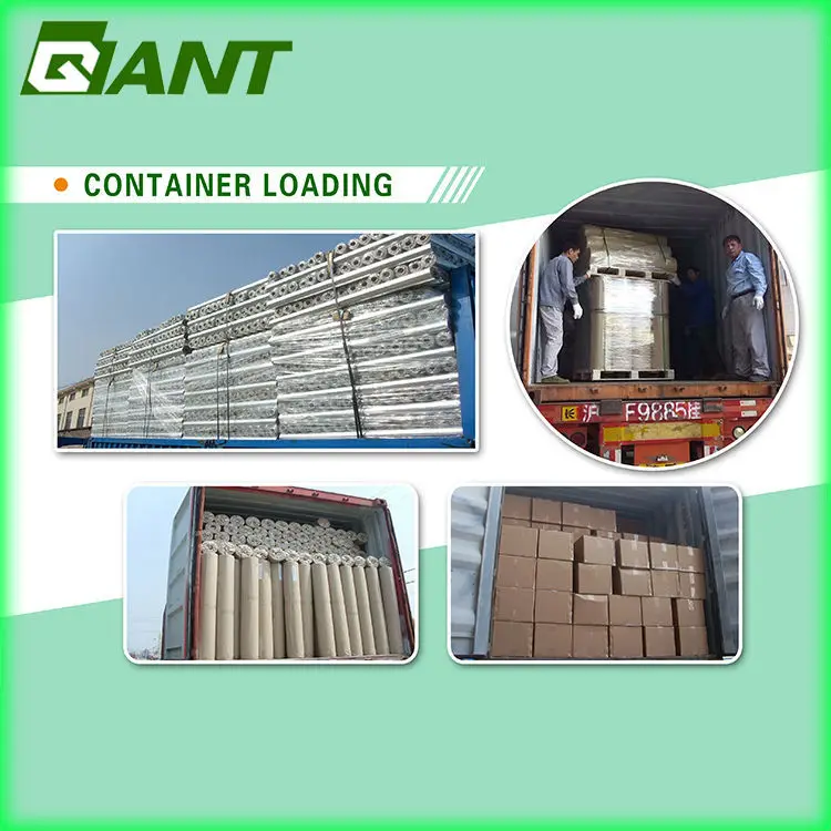 container loading