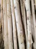 SPECIALIZING IN PROVIDING THE BEST WOOD LOGS MARKET PRICES