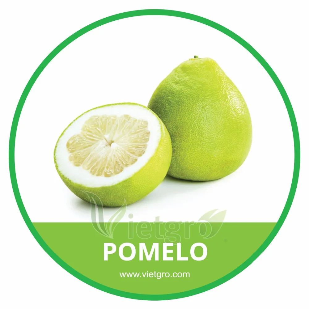 High Quality Fresh White Flesh Pomelo Buy Pomelo Price,Pomelo Fruit