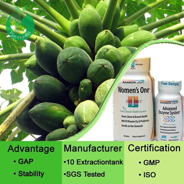 Papaya Leaf Extract Powder Carica Papaya Extract Buy Papaya Leaf