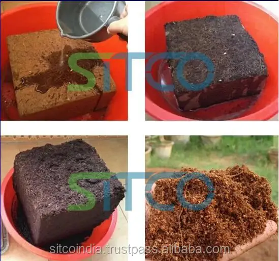 coco peat.JPG