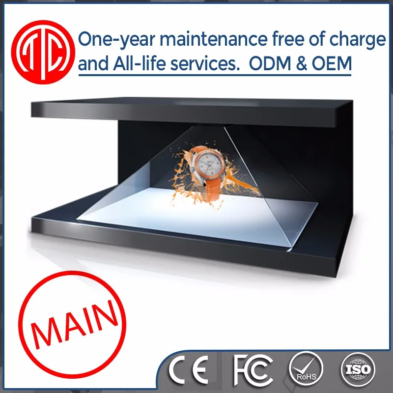 3D Holographic Display ( (4)