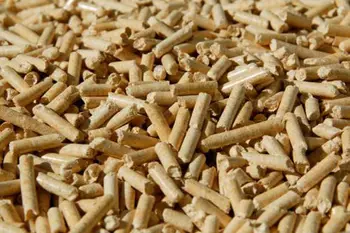 Wood Pellet For Fuel Burning In Vietnam Buy Wood Pellet Wood