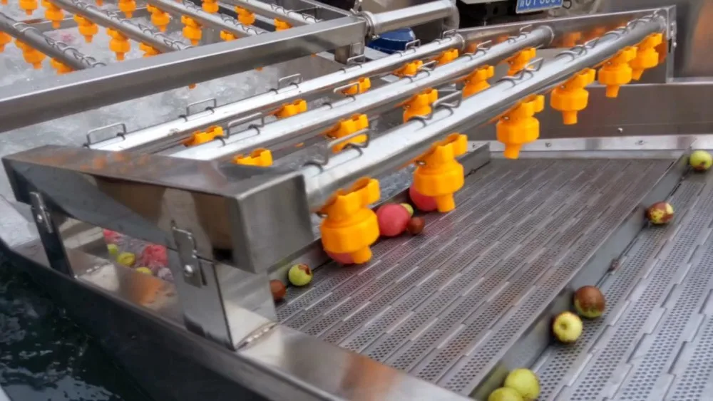 ozone fruit and vegetable washer